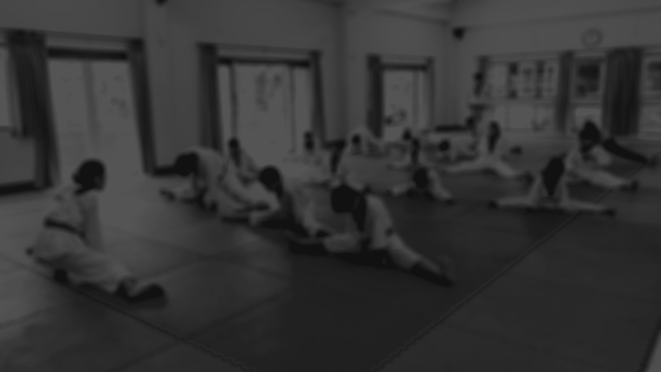 Alexander's Martial Arts Huntsville