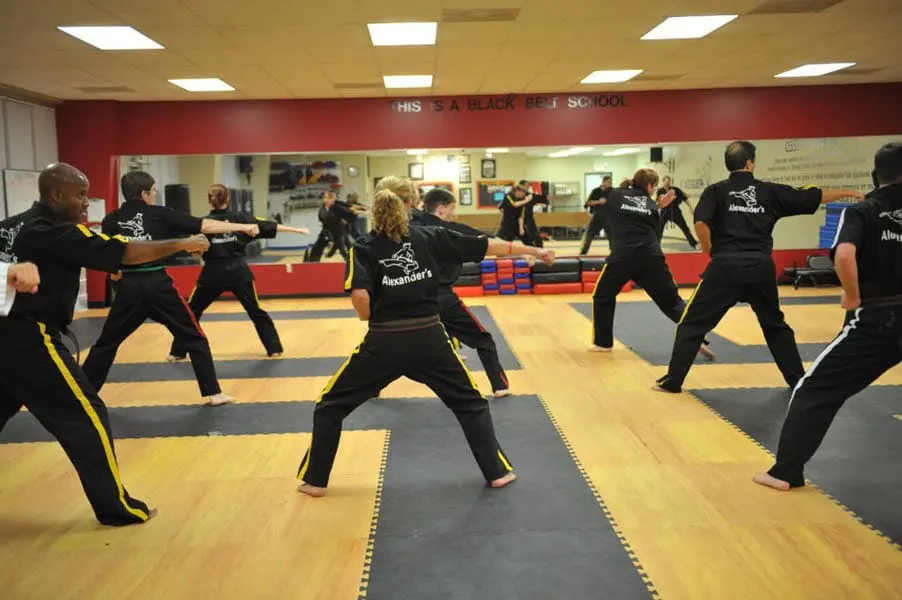 Adult Martial Arts Harvest